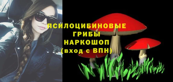 СК Коряжма