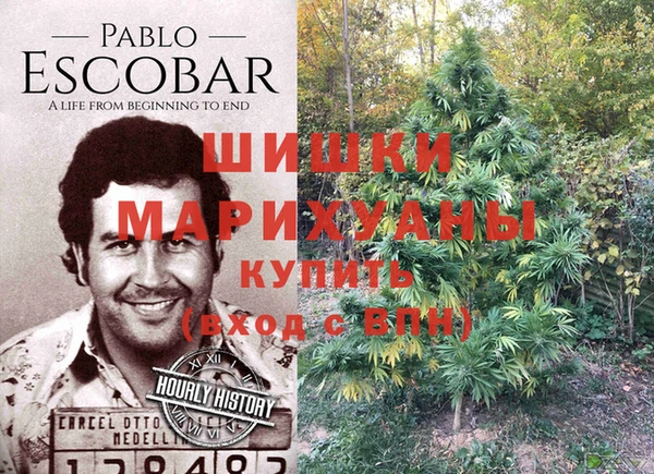 стаф Костерёво
