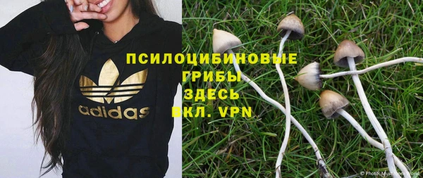 стаф Костерёво