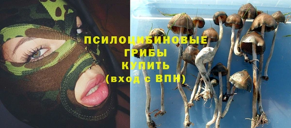 стаф Костерёво