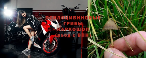 СК Коряжма