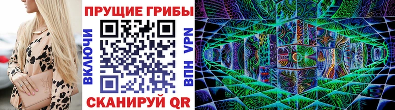 Купить закладки  Дербент  Псилоцибиновые грибы Psilocybe